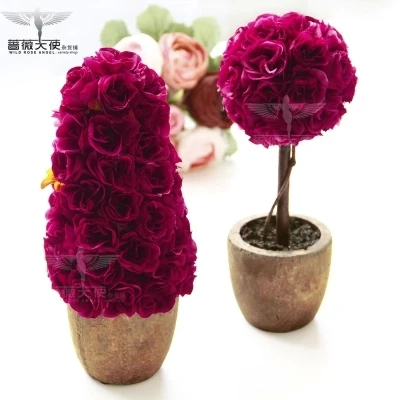 Colchicum (sedir ağacı): Bitki dikimi ve bakımı 74